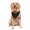 Black Los Angeles Chargers Eddie Jackson   Service Dog & Cat Pet Bandana