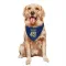 Gold Los Angeles Chargers Eddie Jackson  Royal  Dog & Cat Pet Bandana