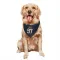 Navy Los Angeles Chargers Joey Bosa   Dog & Cat Pet Bandana